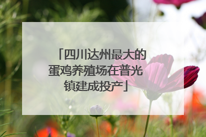 四川达州最大的蛋鸡养殖场在普光镇建成投产