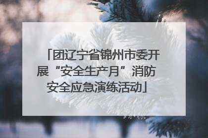 团辽宁省锦州市委开展“安全生产月”消防安全应急演练活动
