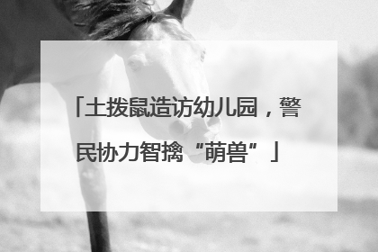 土拨鼠造访幼儿园，警民协力智擒“萌兽”