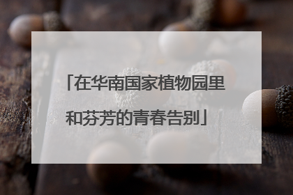 在华南国家植物园里和芬芳的青春告别