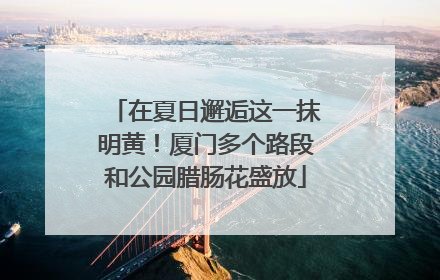 在夏日邂逅这一抹明黄！厦门多个路段和公园腊肠花盛放
