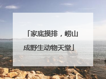 家底摸排，崂山成野生动物天堂