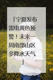 宁夏发布雷电黄色预警！未来一周南部山区多降水天气
