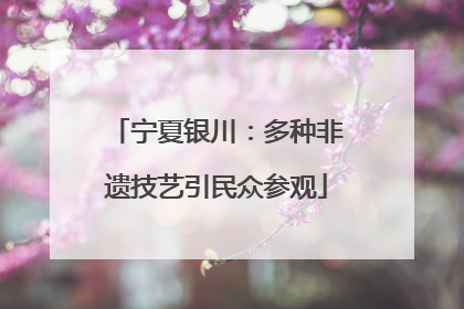 宁夏银川：多种非遗技艺引民众参观