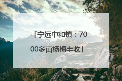 宁远中和镇：7000多亩杨梅丰收