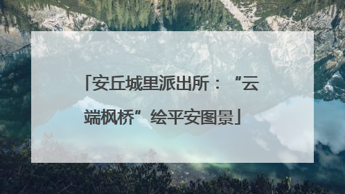 安丘城里派出所：“云端枫桥”绘平安图景