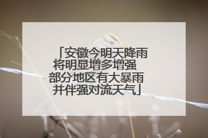 安徽今明天降雨将明显增多增强 部分地区有大暴雨并伴强对流天气