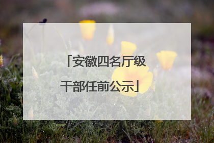 安徽四名厅级干部任前公示