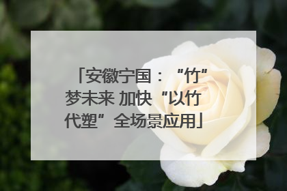 安徽宁国：“竹”梦未来 加快“以竹代塑”全场景应用