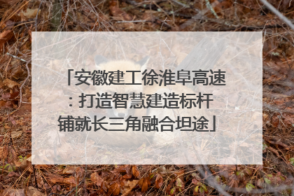 安徽建工徐淮阜高速：打造智慧建造标杆 铺就长三角融合坦途