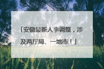 安徽最新人事调整，涉及两厅局、一地市！