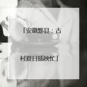 安徽黟县：古村夏日插秧忙