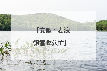 安徽：麦浪飘香收获忙
