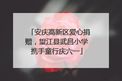 安庆高新区爱心捐赠，望江县武昌小学携手童行庆六一