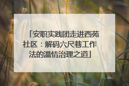 安职实践团走进西苑社区：解码六尺巷工作法的温情治理之道