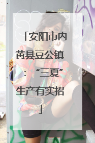 安阳市内黄县豆公镇：“三夏”生产有实招