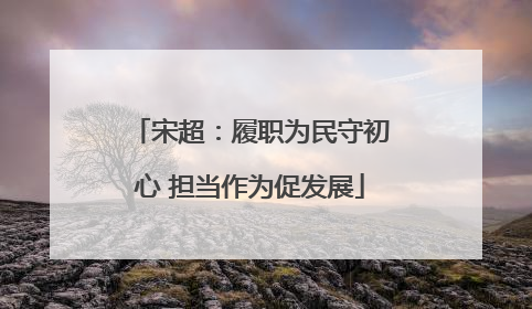 宋超：履职为民守初心 担当作为促发展