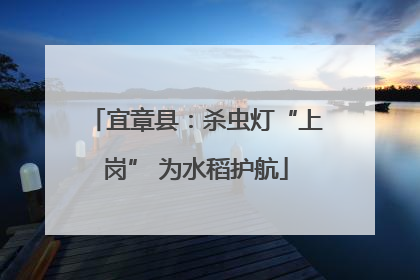 宜章县：杀虫灯“上岗” 为水稻护航