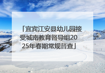 宜宾江安县幼儿园接受城南教育督导组2025年春期常规督查