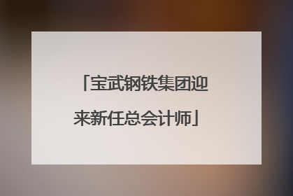 宝武钢铁集团迎来新任总会计师