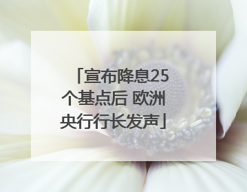 宣布降息25个基点后 欧洲央行行长发声