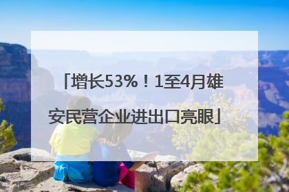 增长53%！1至4月雄安民营企业进出口亮眼