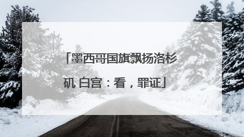 墨西哥国旗飘扬洛杉矶 白宫：看，罪证