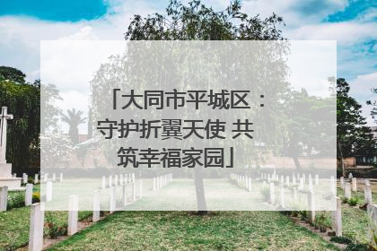大同市平城区：守护折翼天使 共筑幸福家园