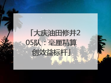 大庆油田修井205队：毫厘精算创效益标杆