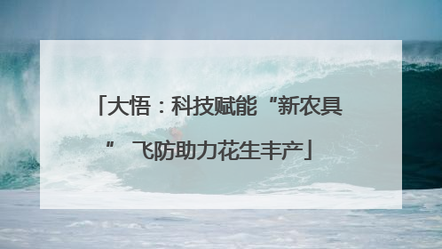 大悟：科技赋能“新农具” 飞防助力花生丰产