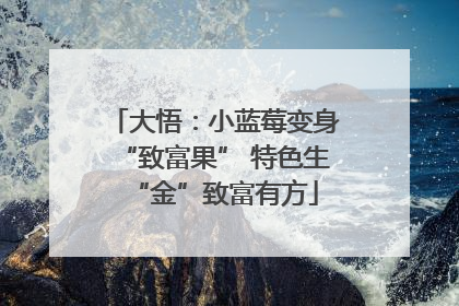 大悟：小蓝莓变身“致富果” 特色生“金”致富有方