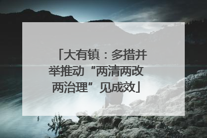 大有镇：多措并举推动“两清两改两治理”见成效