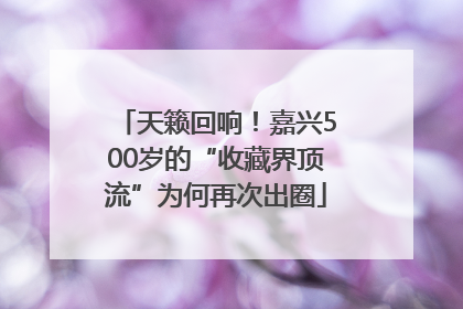 天籁回响！嘉兴500岁的“收藏界顶流”为何再次出圈