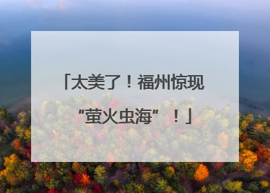 太美了！福州惊现“萤火虫海”！