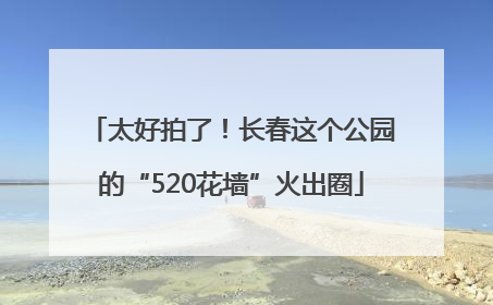 太好拍了！长春这个公园的“520花墙”火出圈