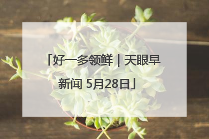 好一多领鲜｜天眼早新闻 5月28日