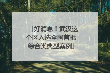 好消息！武汉这个区入选全国首批综合类典型案例