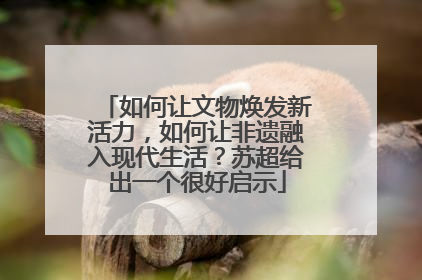 如何让文物焕发新活力，如何让非遗融入现代生活？苏超给出一个很好启示