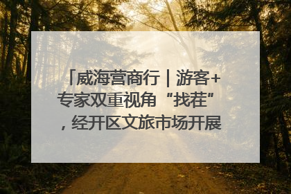 威海营商行｜游客+专家双重视角“找茬”，经开区文旅市场开展暑期前“体检”
