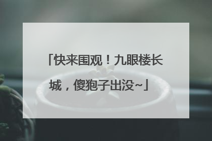 快来围观！九眼楼长城，傻狍子出没~