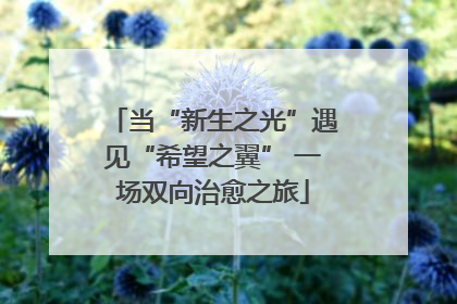 当“新生之光”遇见“希望之翼” 一场双向治愈之旅