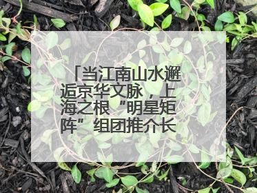当江南山水邂逅京华文脉，上海之根“明星矩阵”组团推介长三角文旅资源