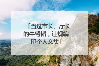 当过市长、厅长的牛弩韬，违规编印个人文集