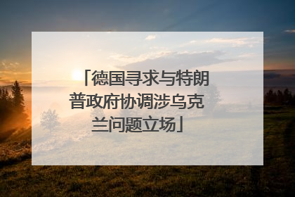 德国寻求与特朗普政府协调涉乌克兰问题立场