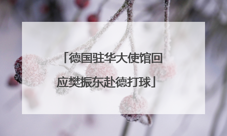 德国驻华大使馆回应樊振东赴德打球