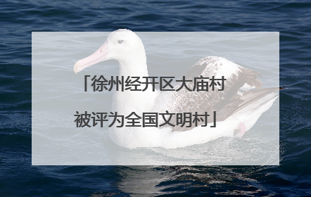 徐州经开区大庙村被评为全国文明村