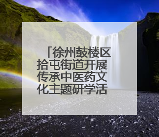 徐州鼓楼区拾屯街道开展传承中医药文化主题研学活动
