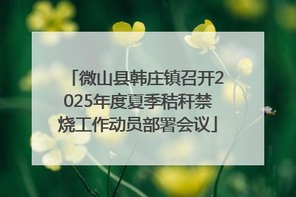 微山县韩庄镇召开2025年度夏季秸秆禁烧工作动员部署会议