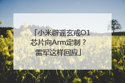 小米辟谣玄戒O1芯片向Arm定制？雷军这样回应