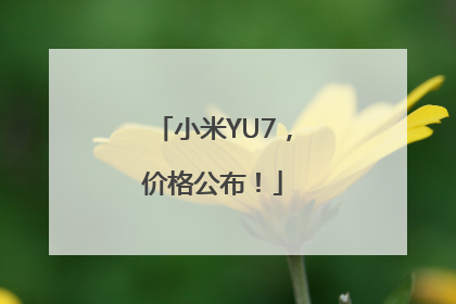 小米YU7，价格公布！